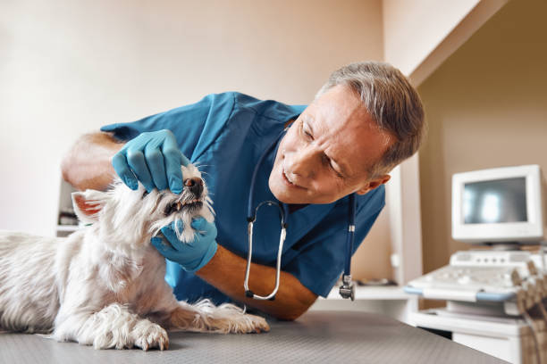Best Emergency Broken Tooth Repair in Westfield, MA